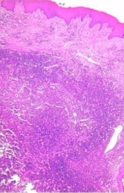 autopsy-13-e2023463-g03.jpg