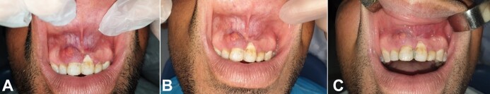 autopsy-13-e2023463-g05.jpg